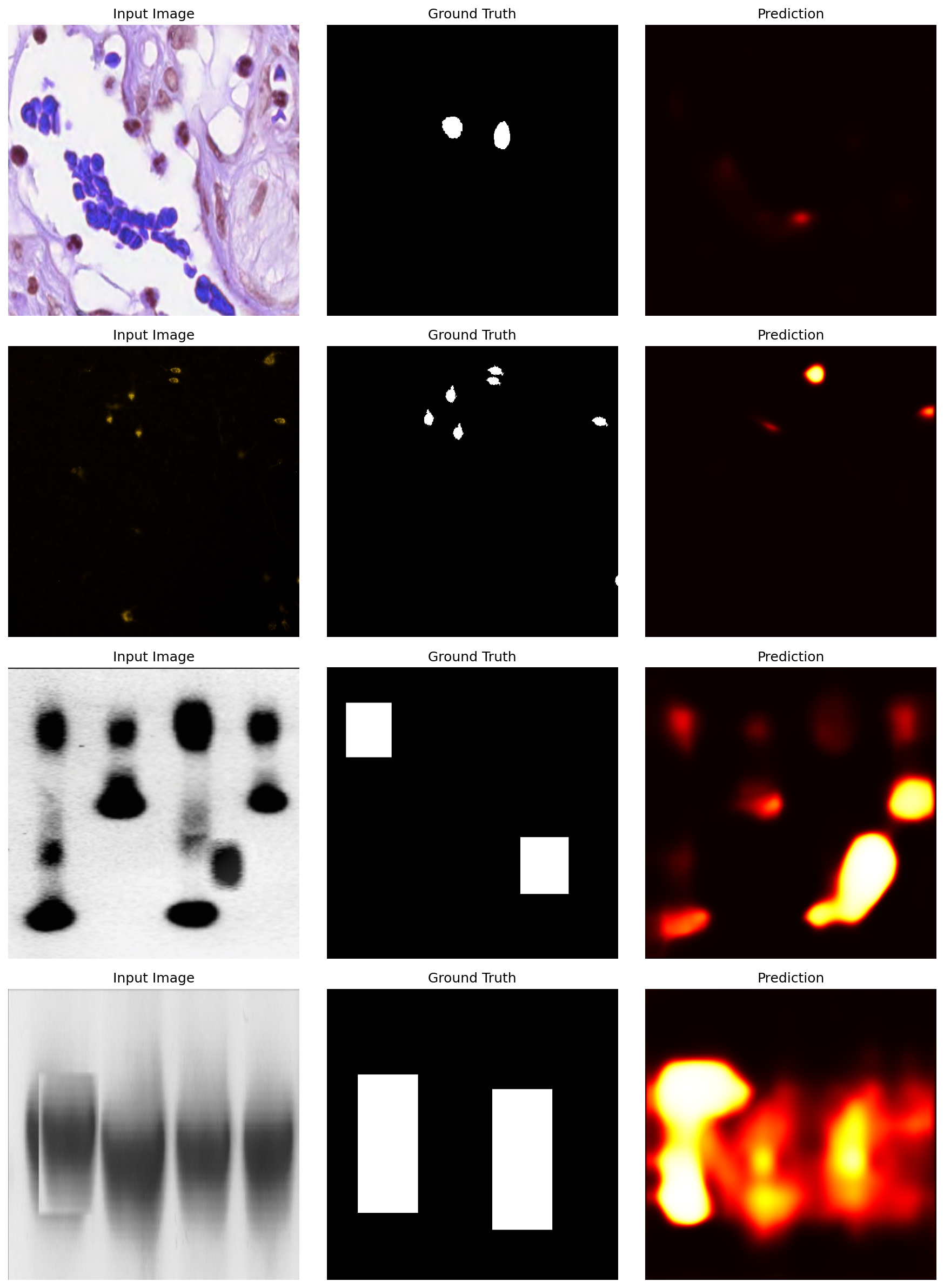 Scientific Image Forgery Detection - Slidev